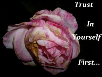 rebuilding trust